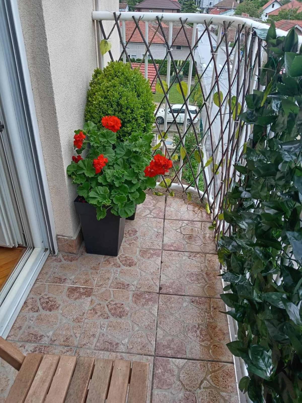Apartman Centar Požarevac 외부 사진