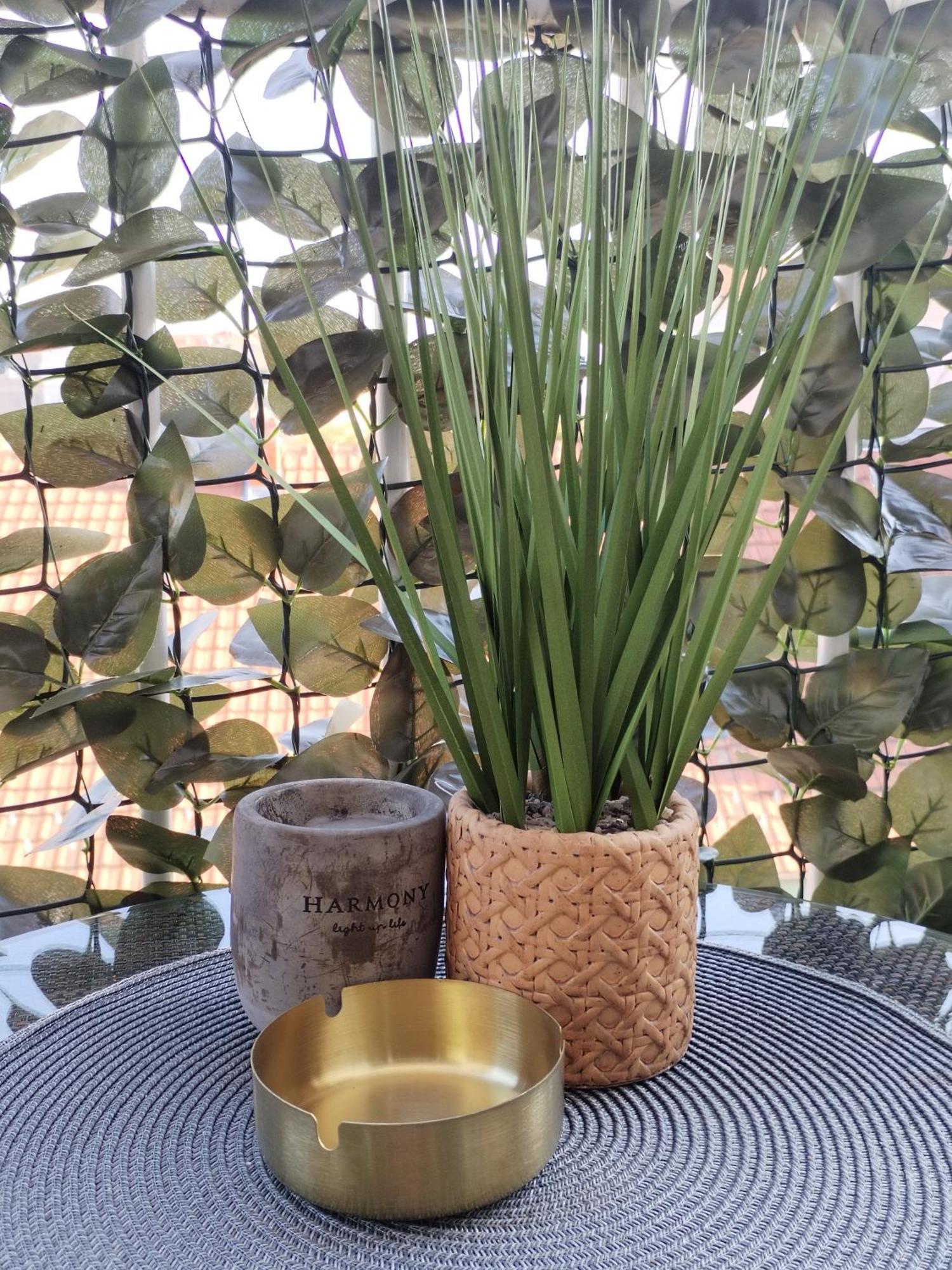 Apartman Centar Požarevac 외부 사진